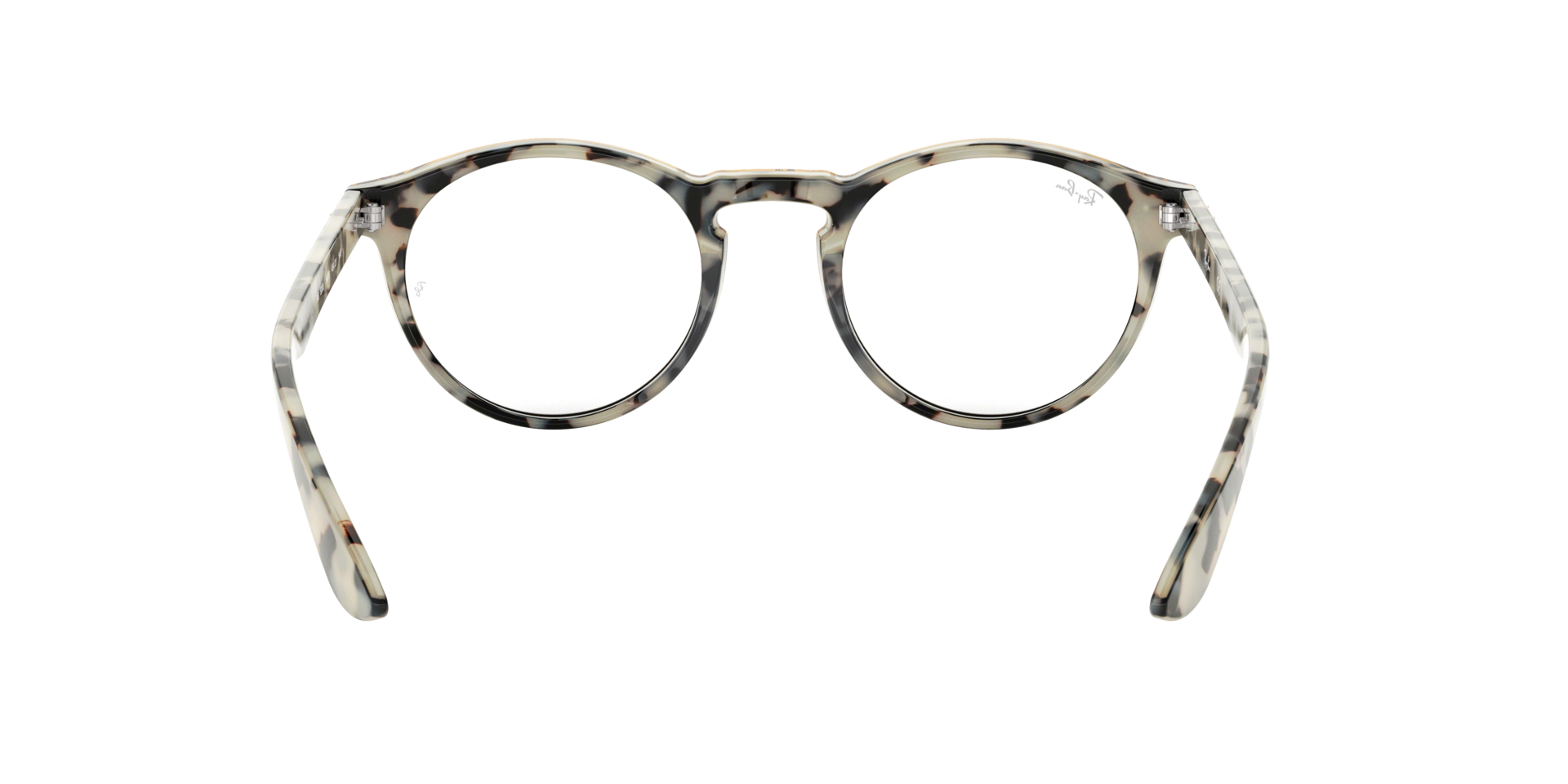 0RX5283_tortoise-5676_7.png