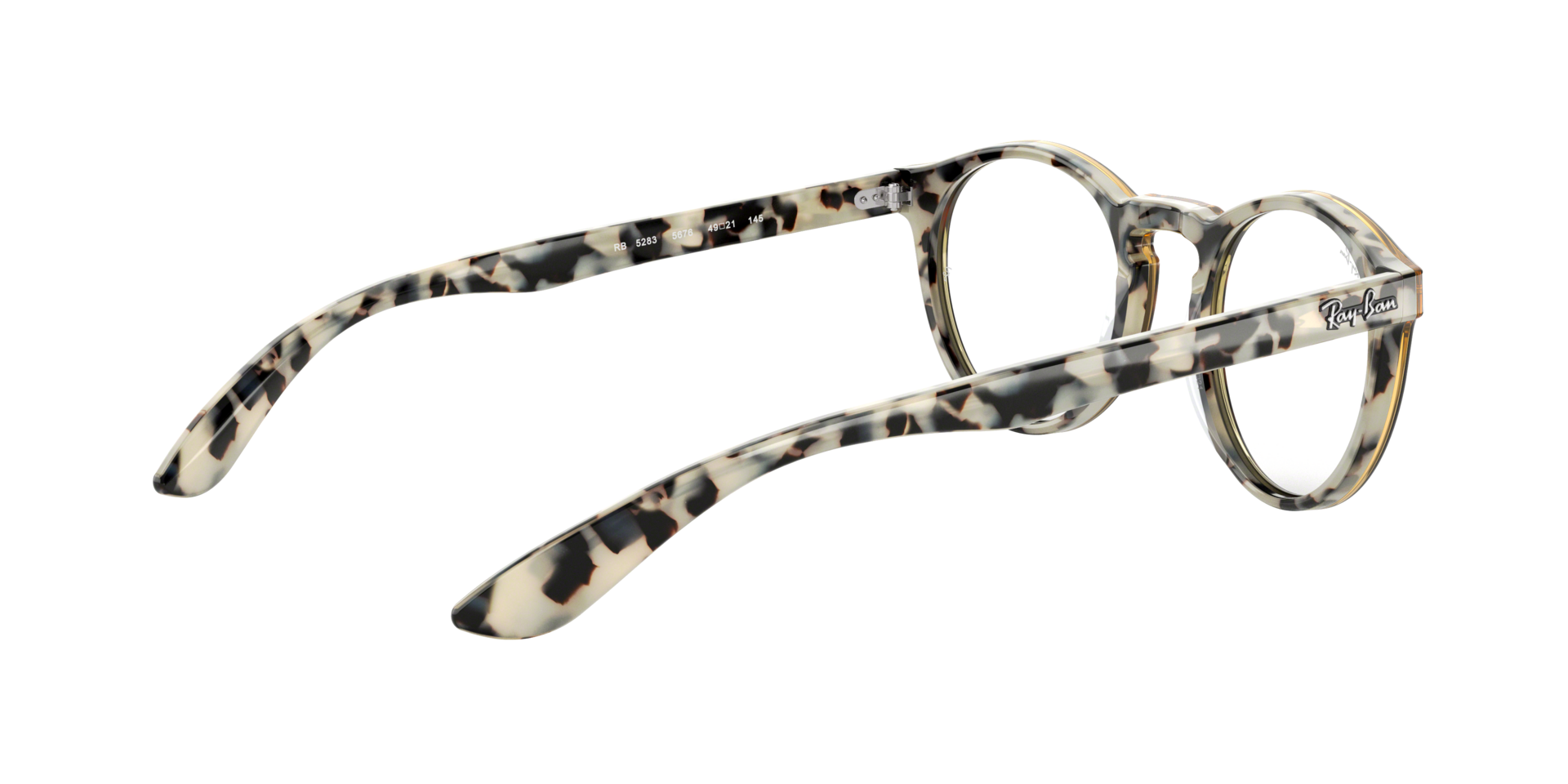 0RX5283_tortoise-5676_9.png
