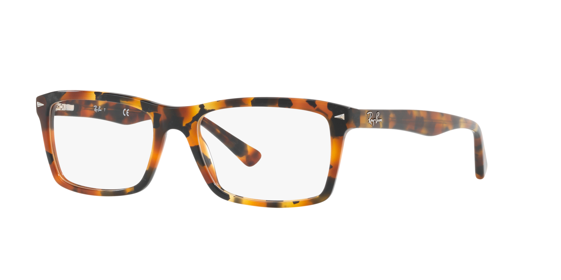 0RX5287_tortoise-5712
