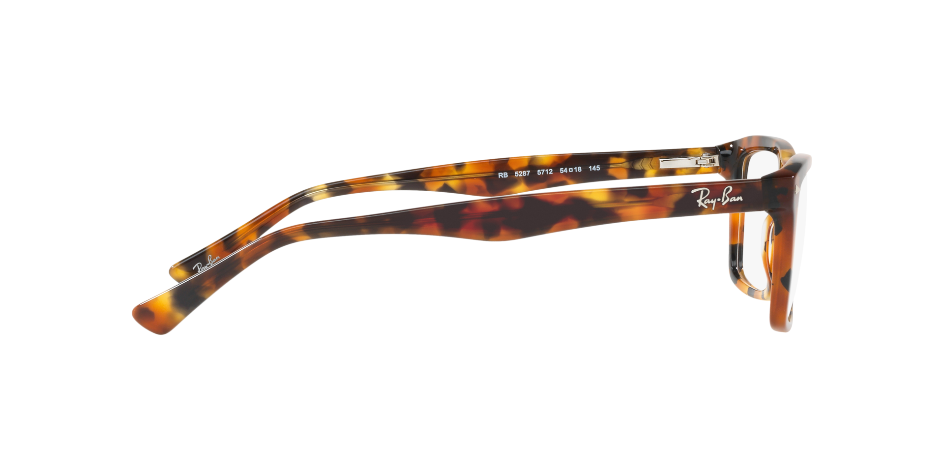 0RX5287_tortoise-5712_10.png