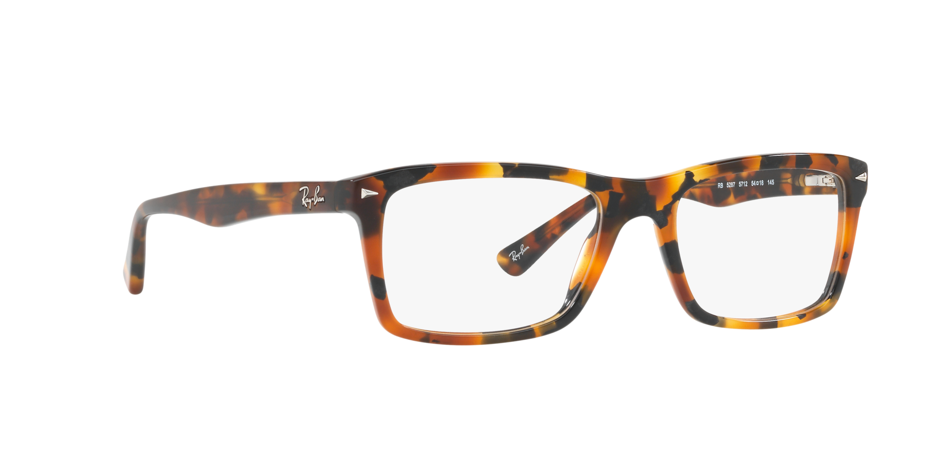 0RX5287_tortoise-5712_12.png
