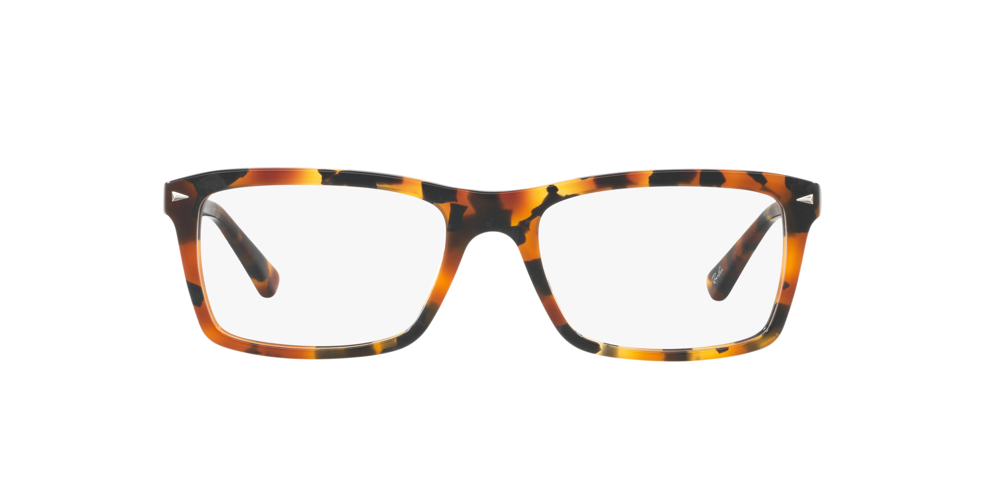 0RX5287_tortoise-5712_2.png