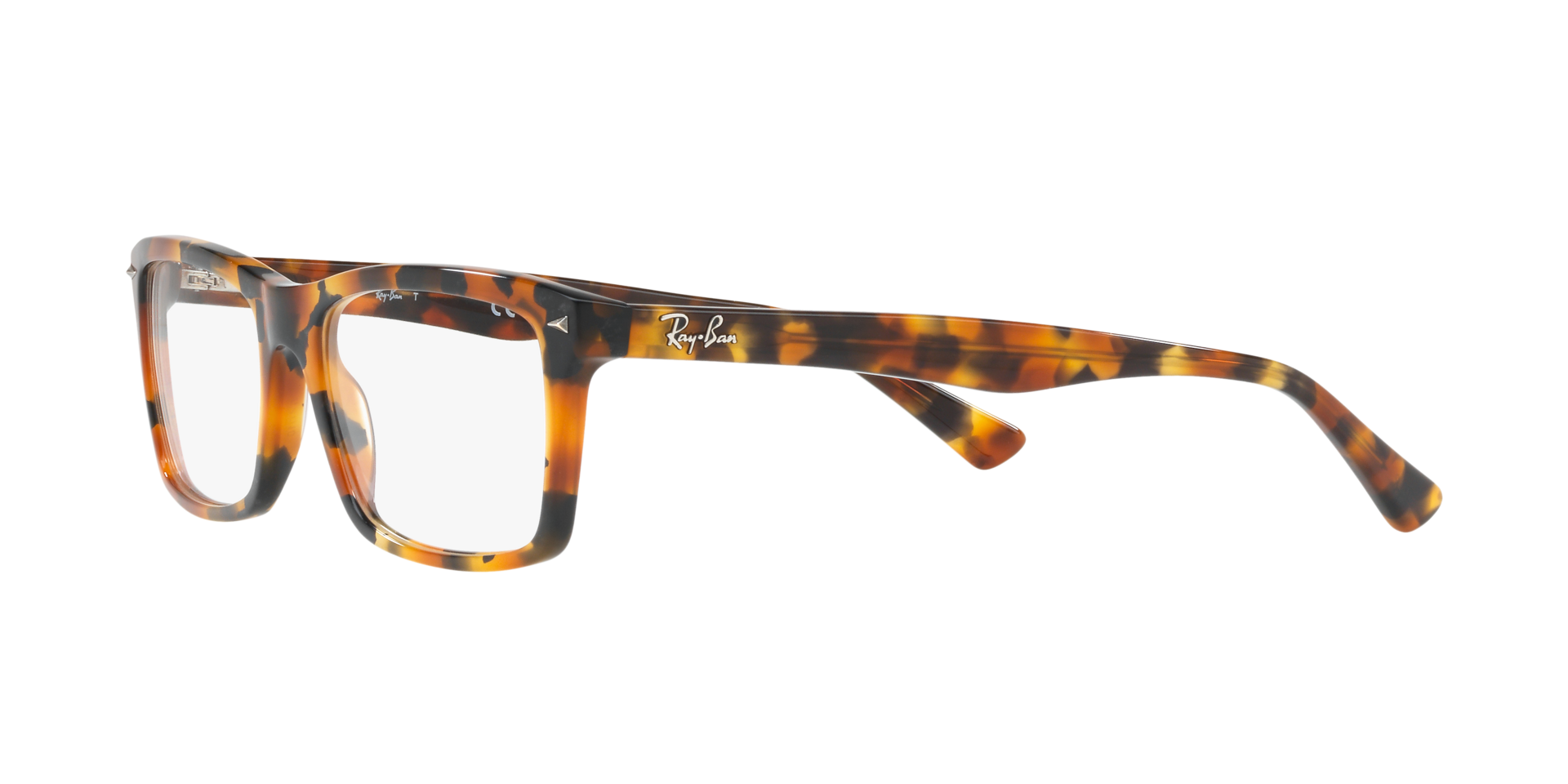 0RX5287_tortoise-5712_3.png