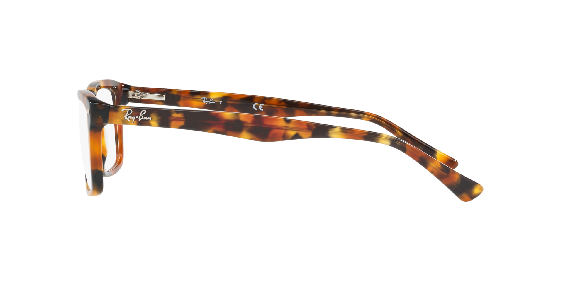 0RX5287_tortoise-5712_4.png