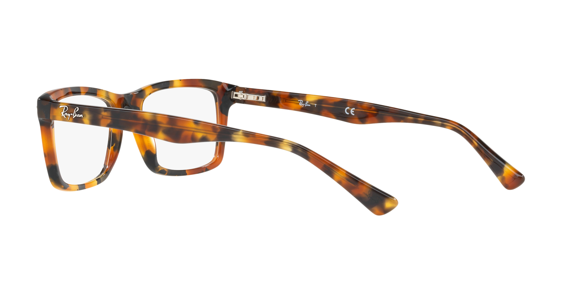 0RX5287_tortoise-5712_5.png