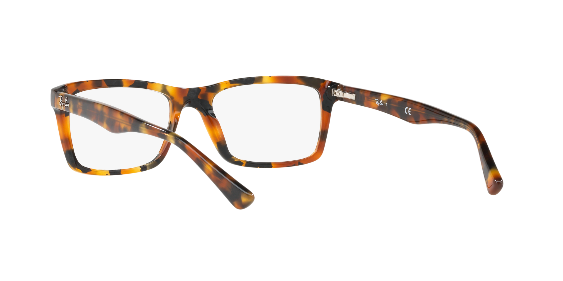 0RX5287_tortoise-5712_6.png