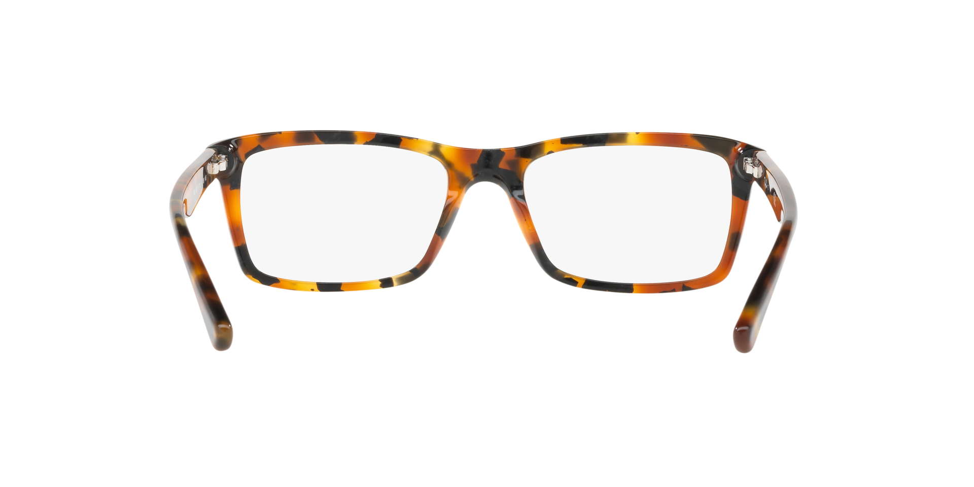 0RX5287_tortoise-5712_7.png