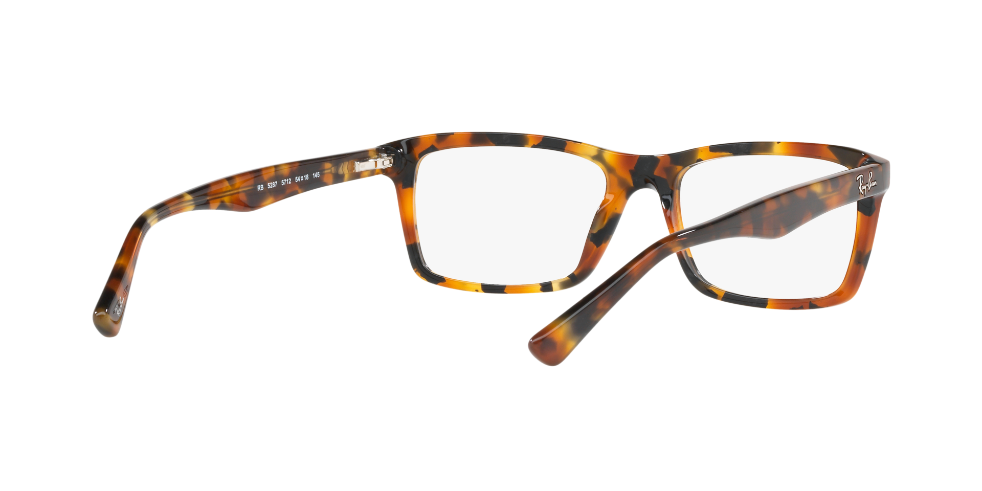 0RX5287_tortoise-5712_8.png