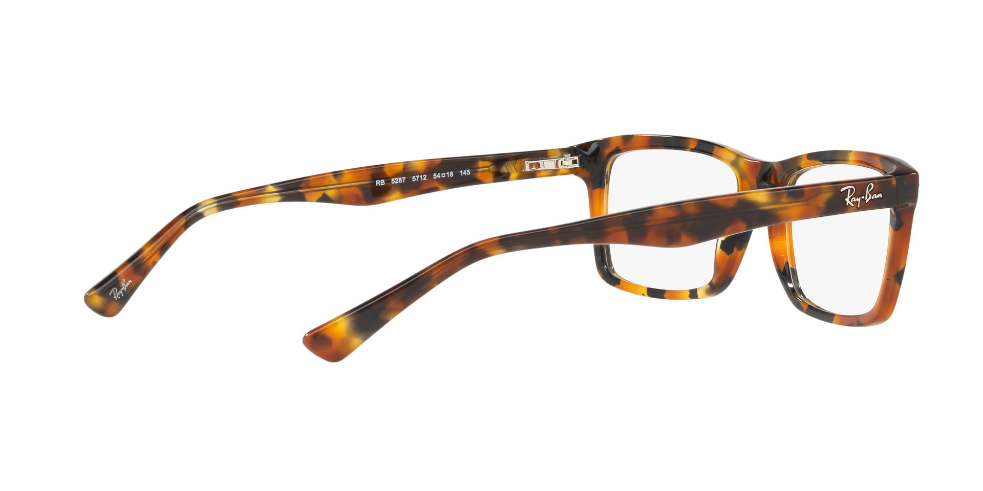 0RX5287_tortoise-5712_9.png