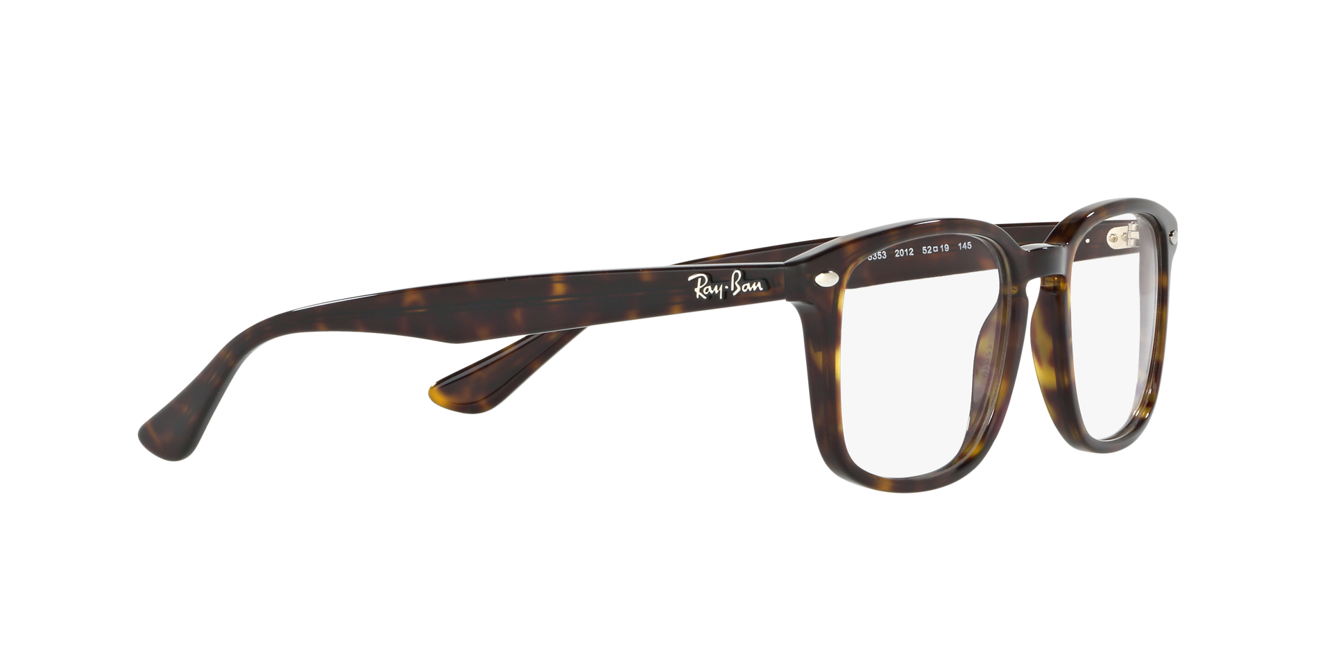 0RX5353_tortoise-2012_11.png