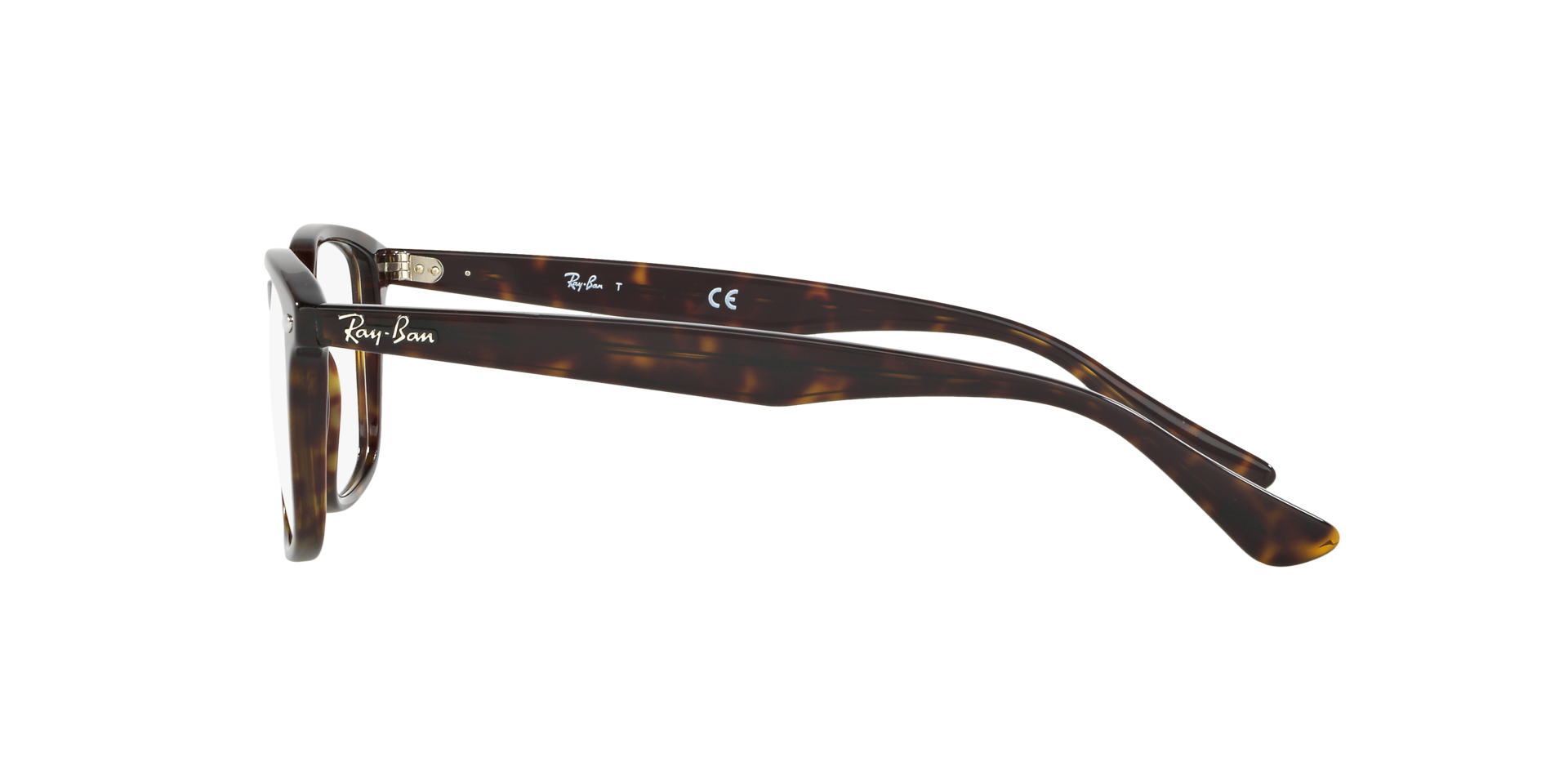 0RX5353_tortoise-2012_4.png