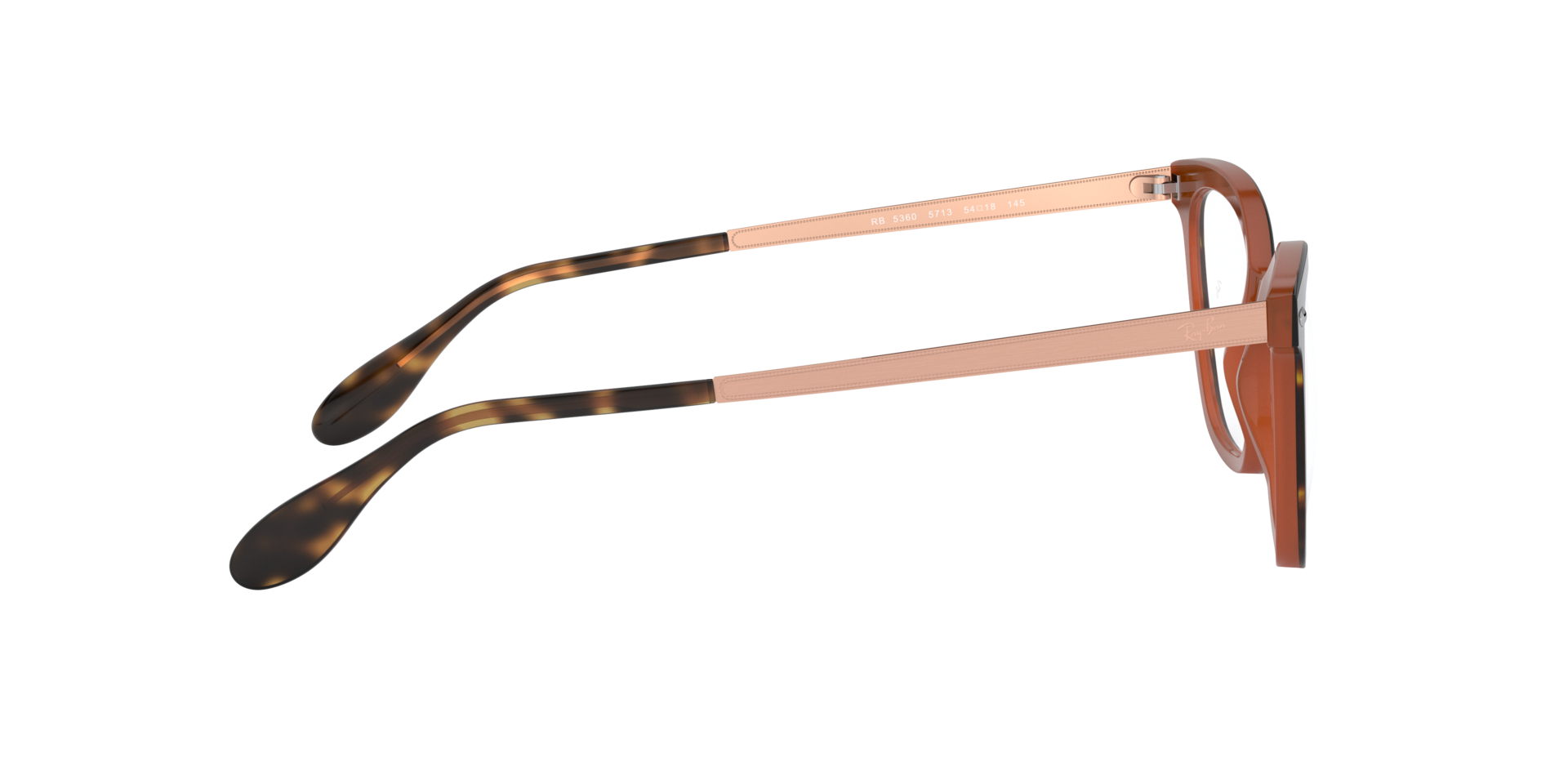 0RX5360_tortoise-5713_10.png