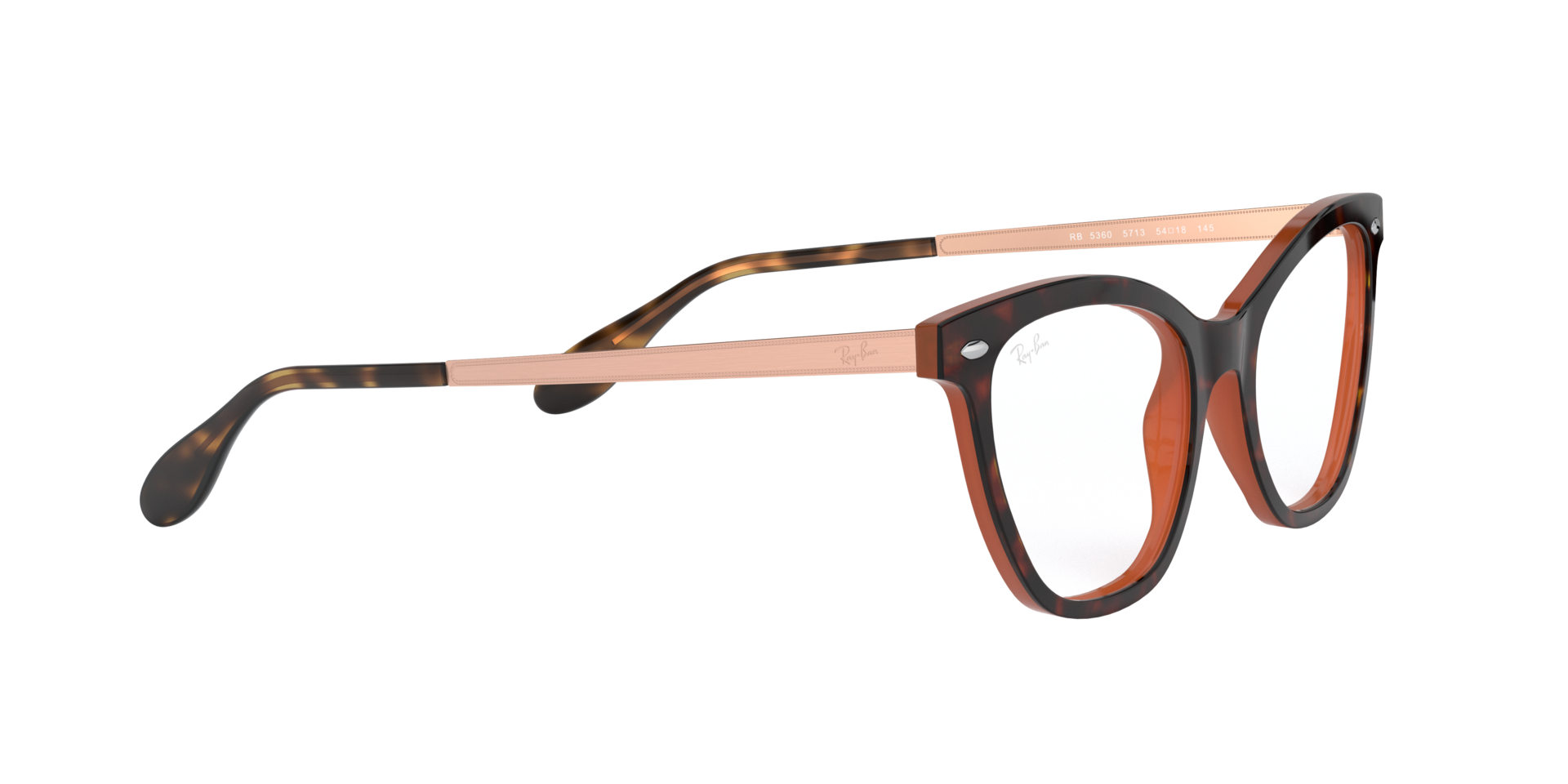 0RX5360_tortoise-5713_11.png