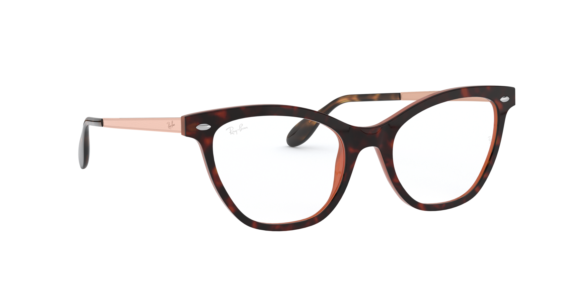 0RX5360_tortoise-5713_12.png