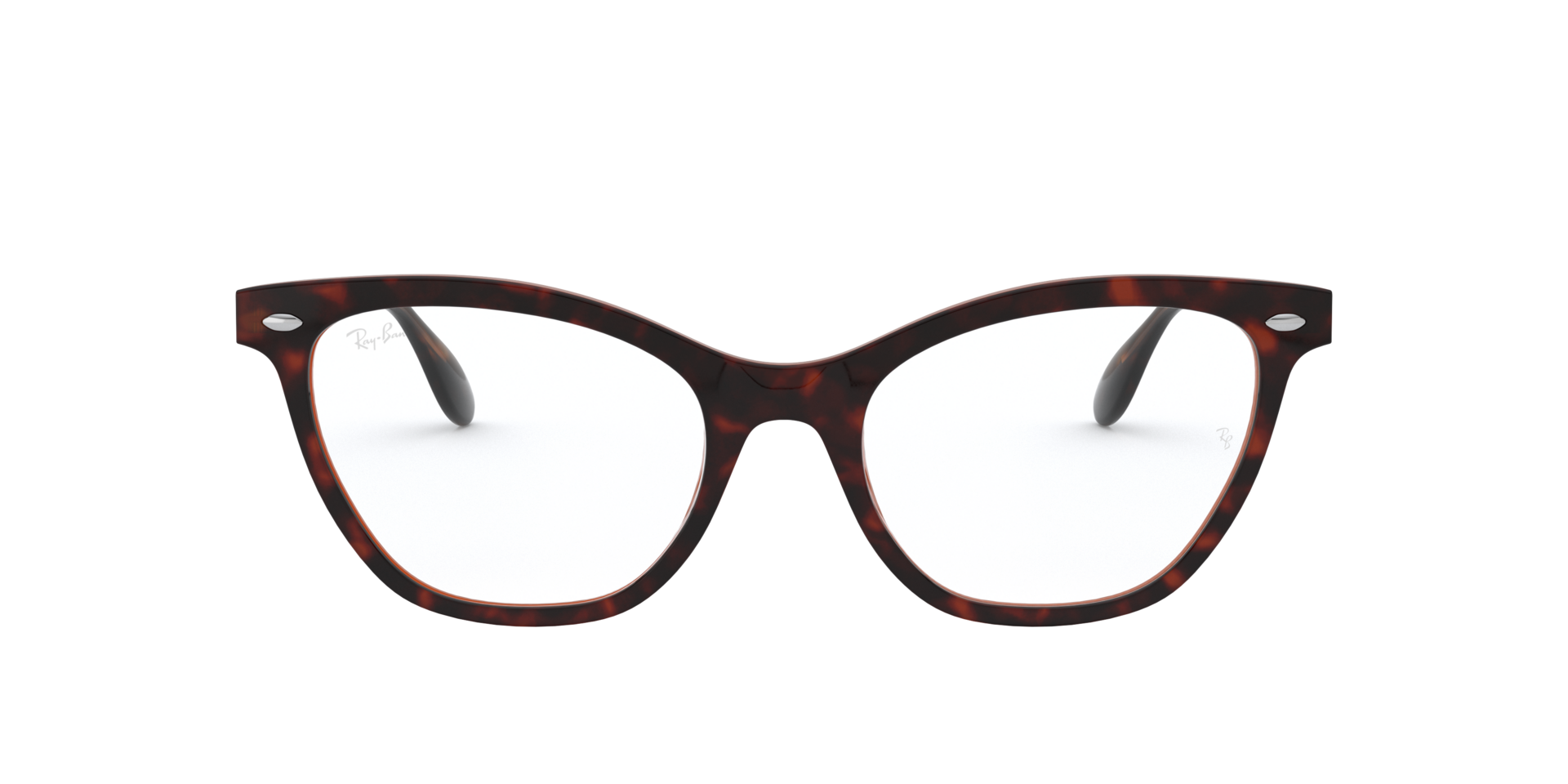 0RX5360_tortoise-5713_2.png