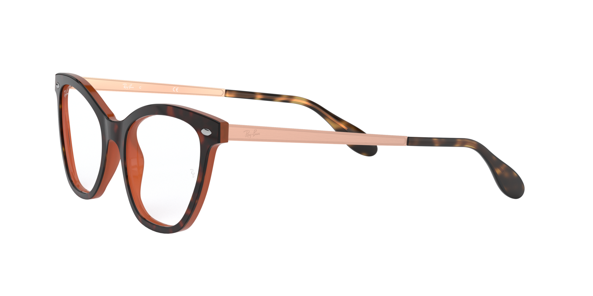 0RX5360_tortoise-5713_3.png