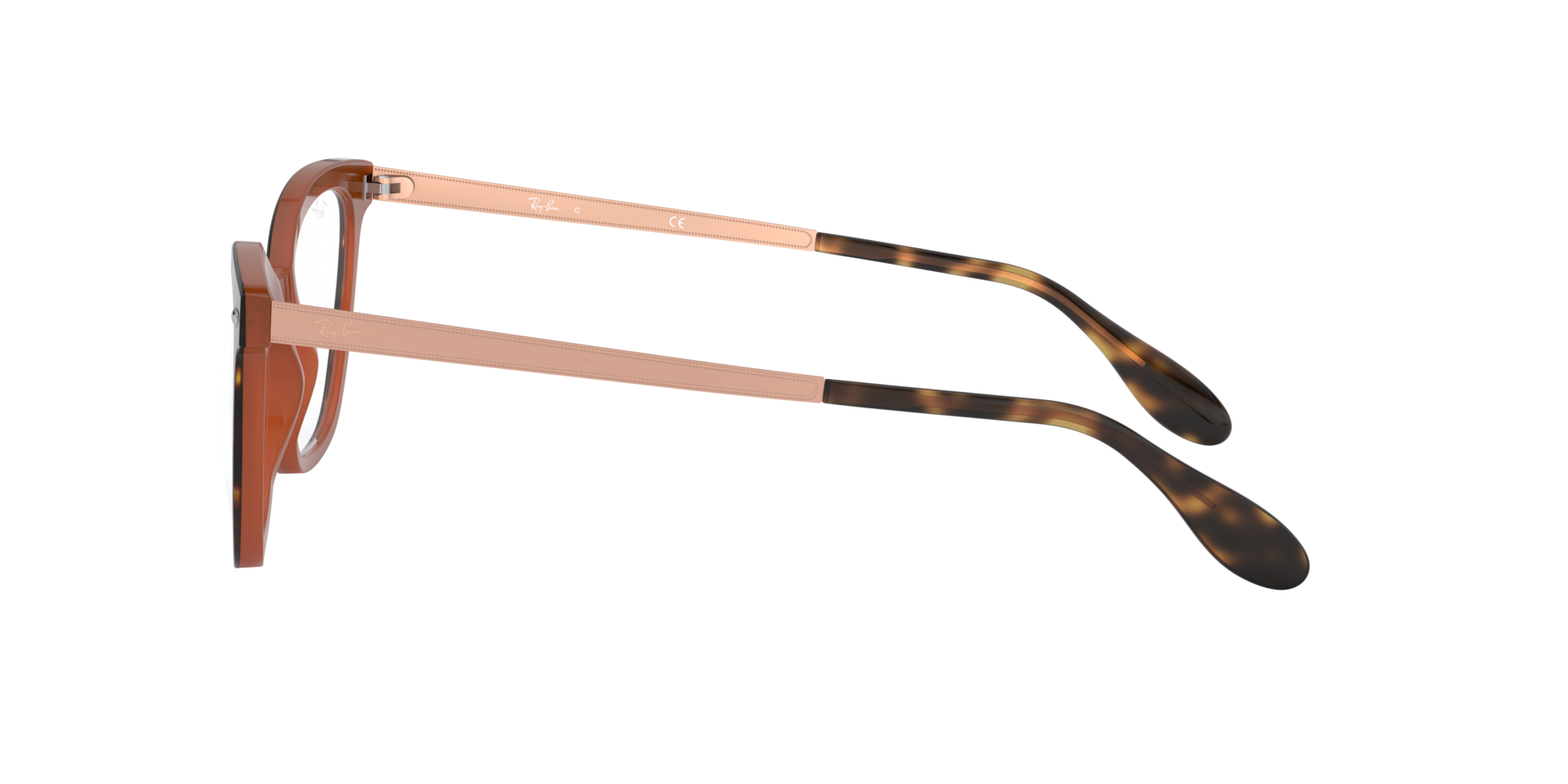 0RX5360_tortoise-5713_4.png
