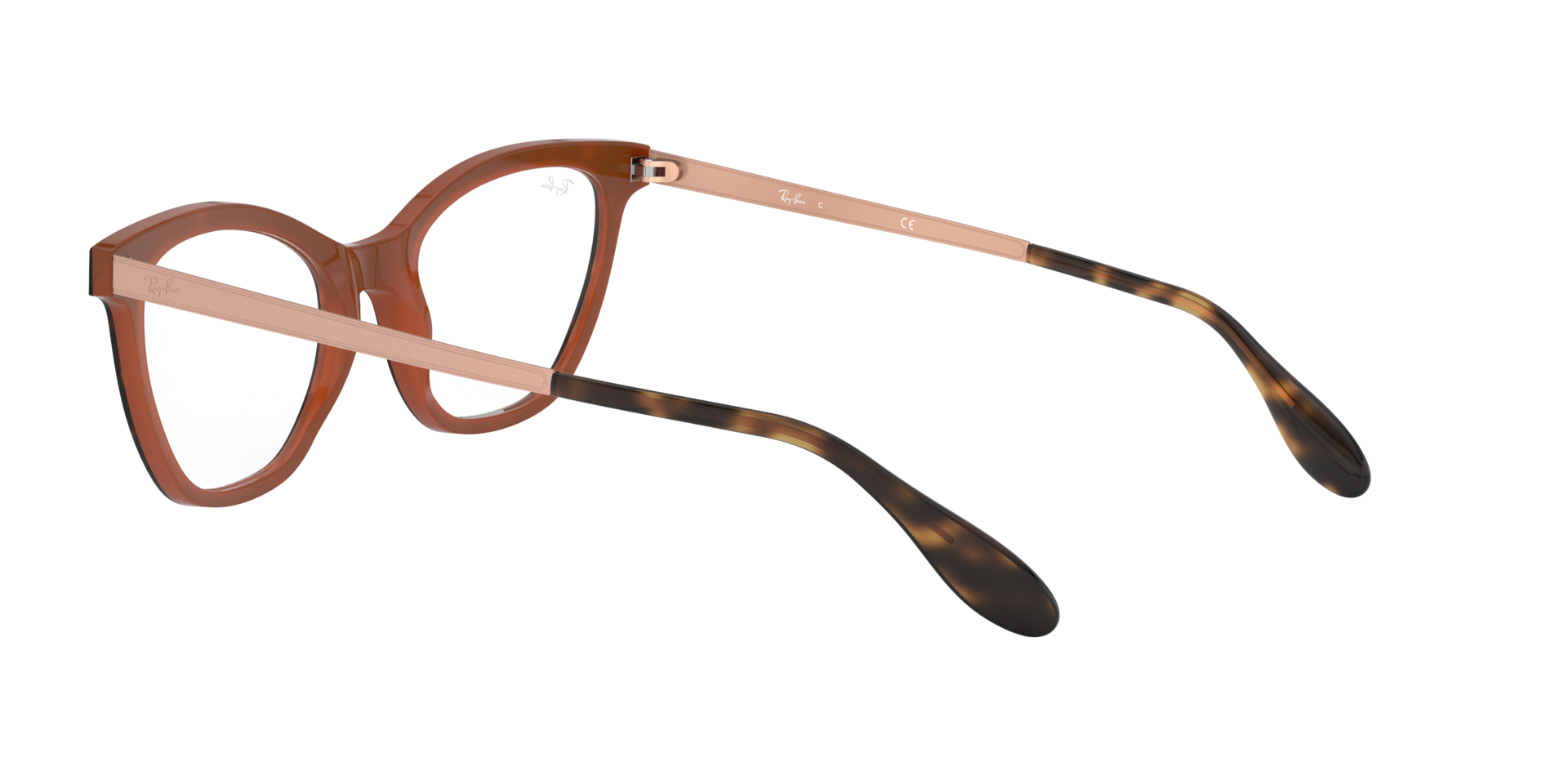 0RX5360_tortoise-5713_5.png