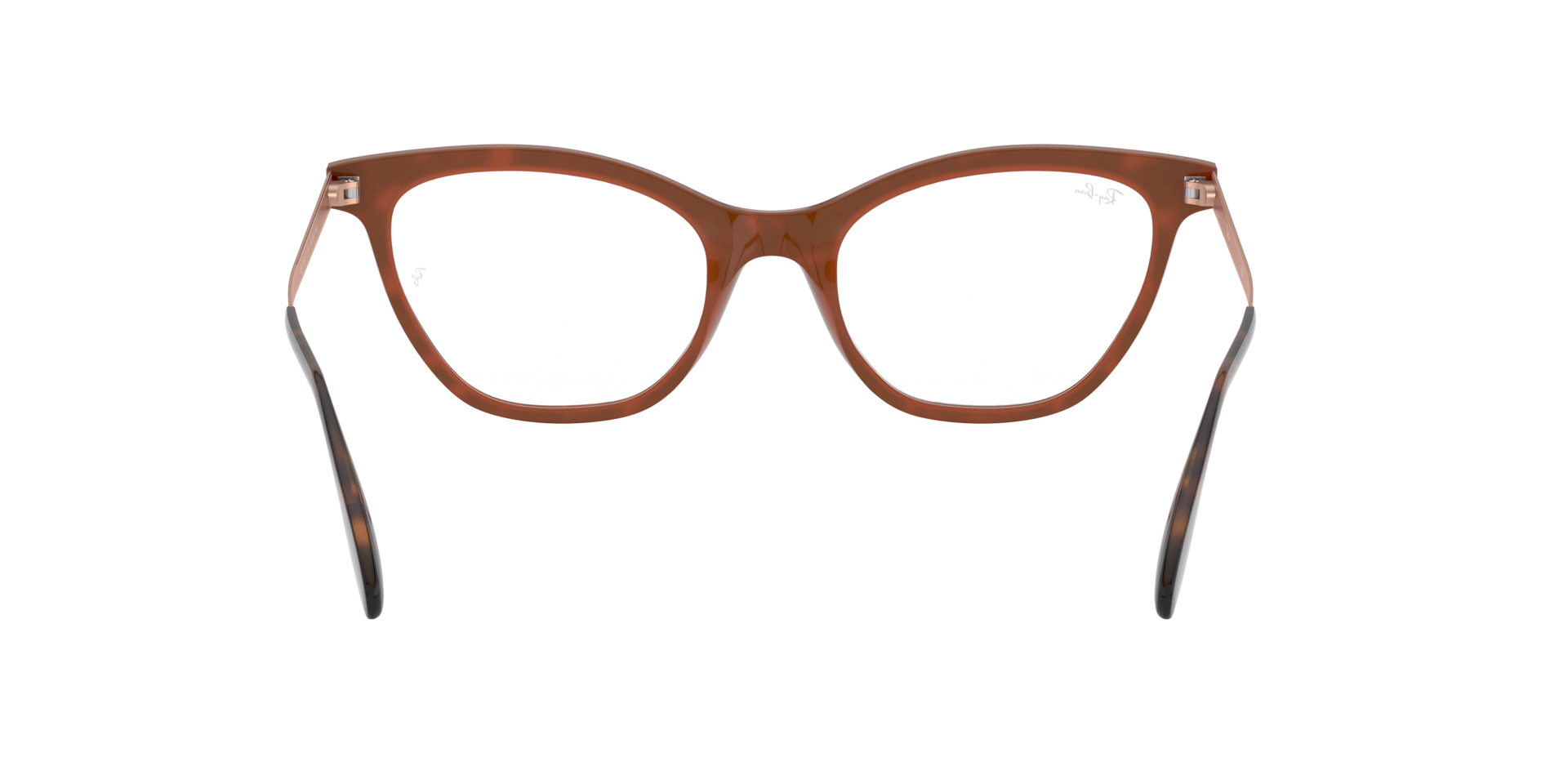 0RX5360_tortoise-5713_7.png