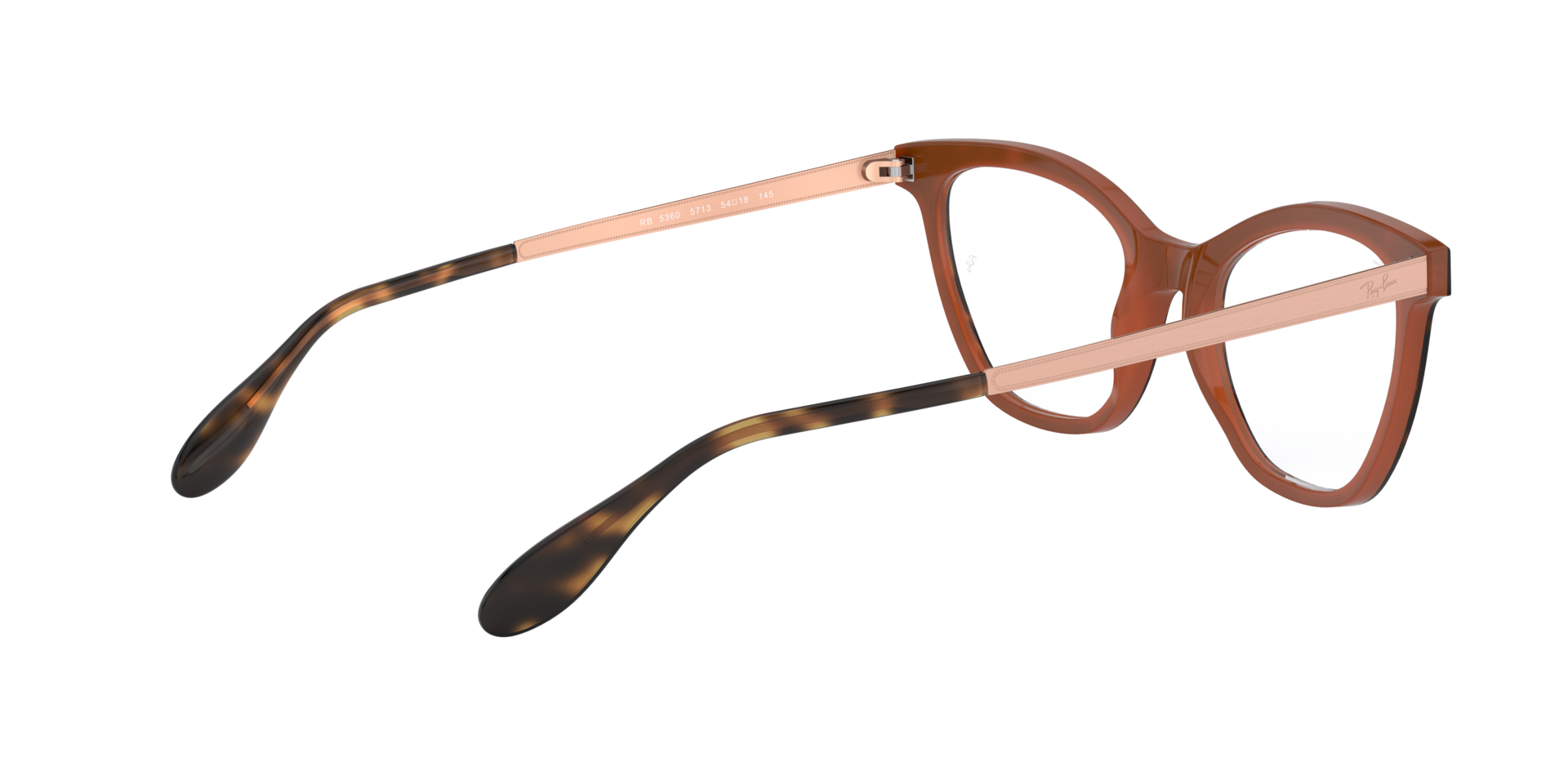0RX5360_tortoise-5713_9.png