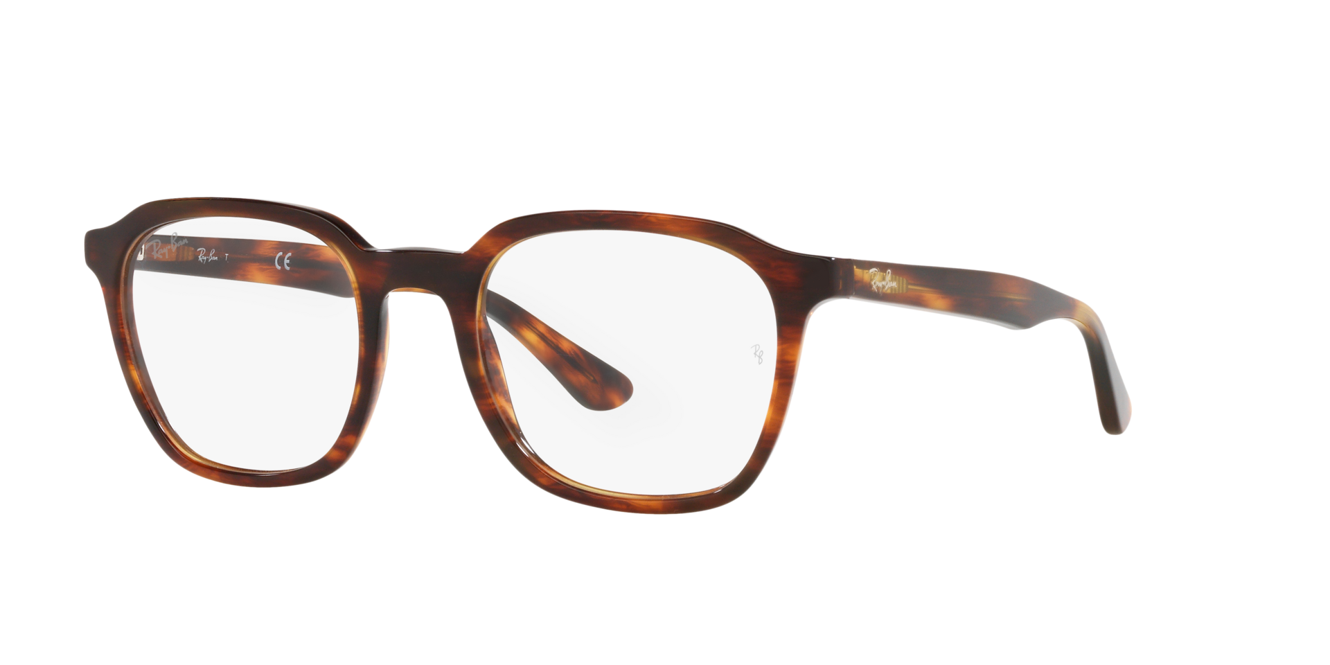 0RX5390_Tortoise-2144_1.png