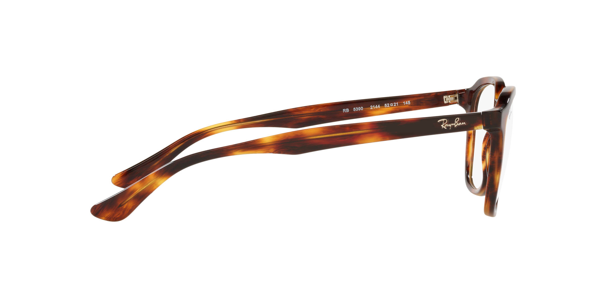 0RX5390_Tortoise-2144_10.png