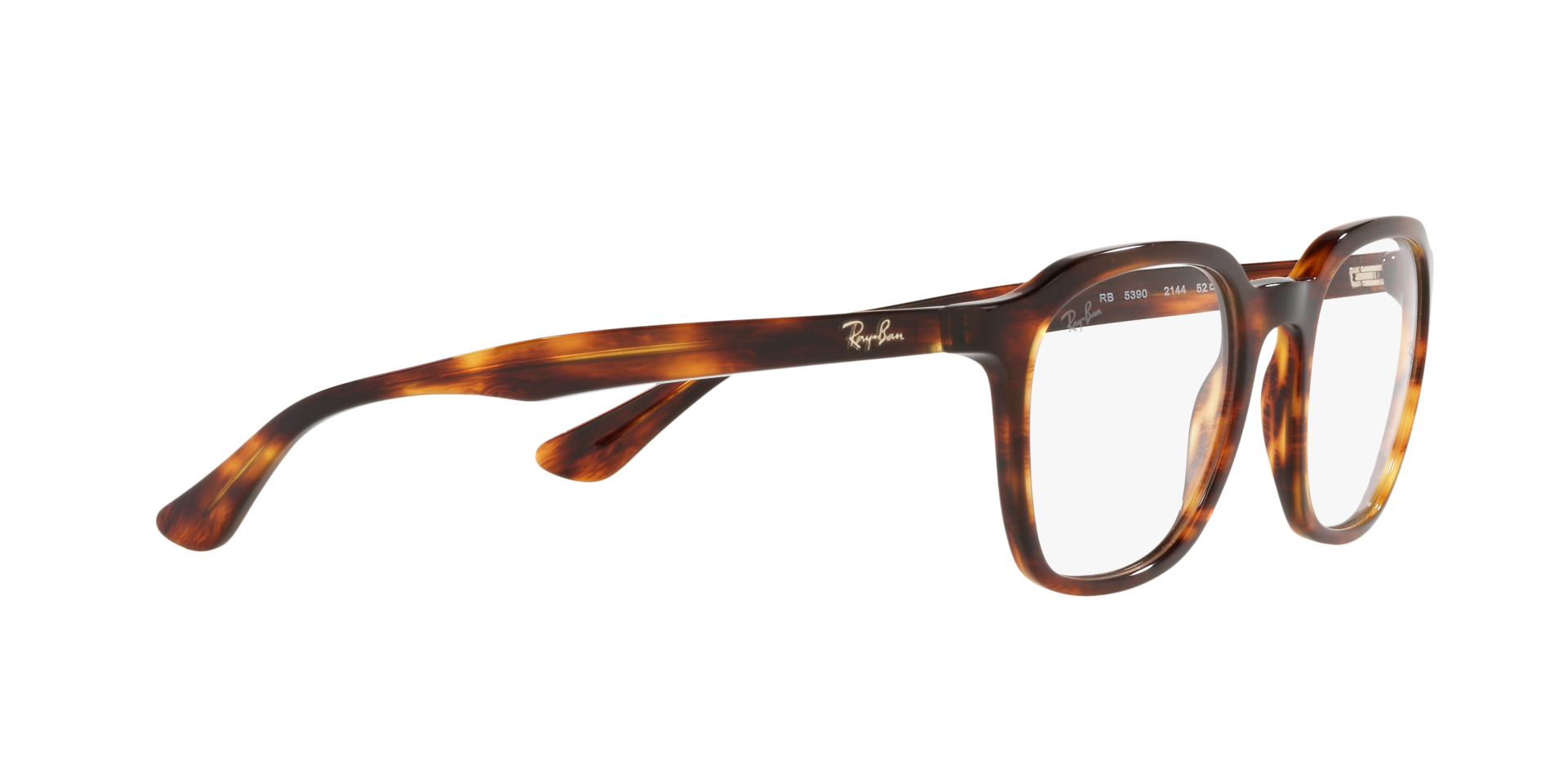0RX5390_Tortoise-2144_11.png