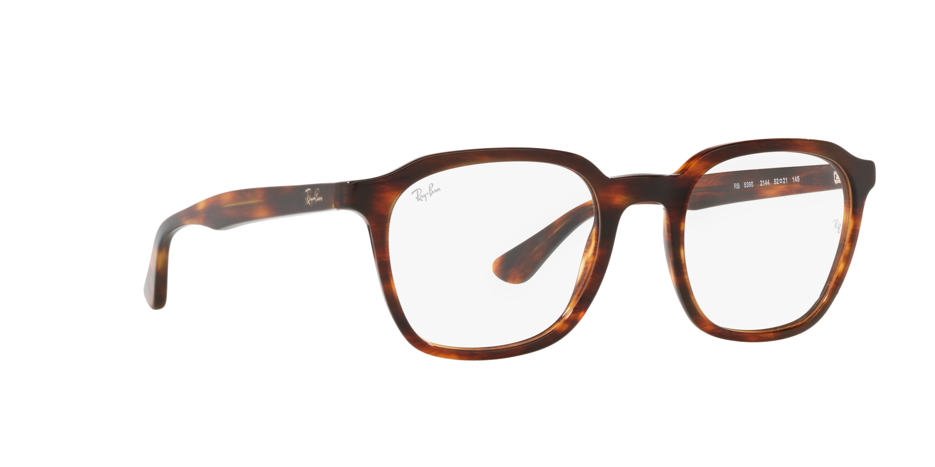 0RX5390_Tortoise-2144_12.png