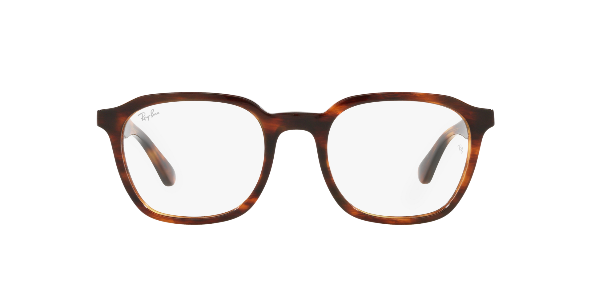 0RX5390_Tortoise-2144_2.png