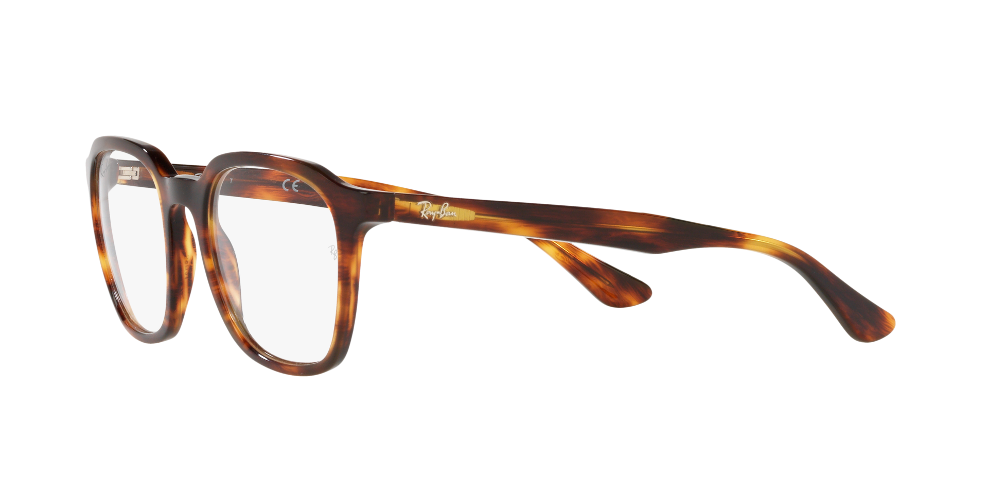 0RX5390_Tortoise-2144_3.png