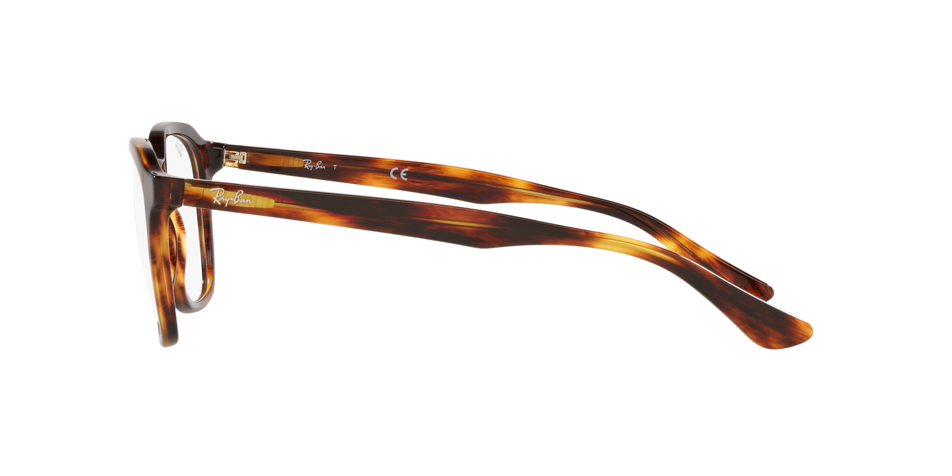 0RX5390_Tortoise-2144_4.png