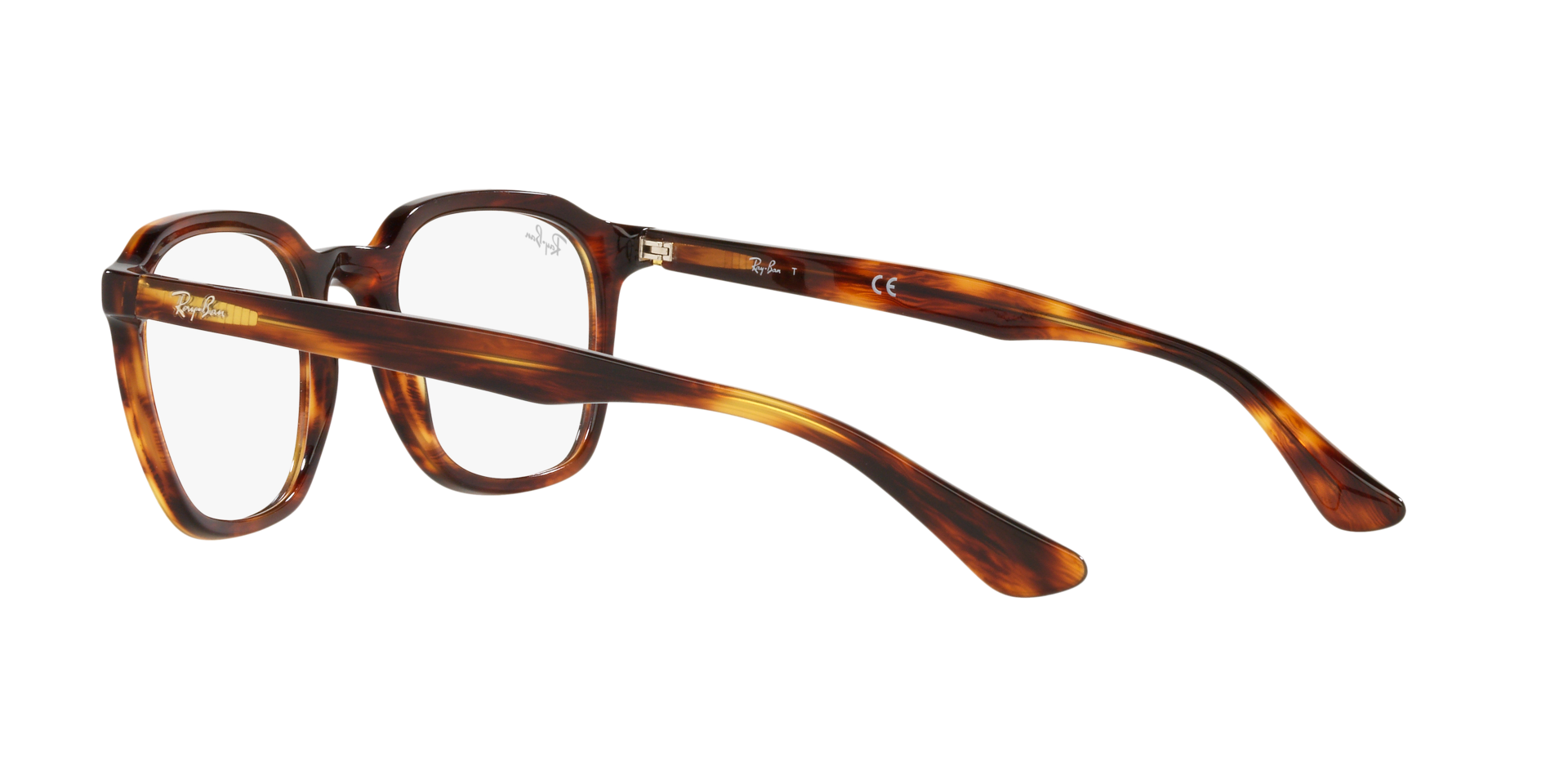 0RX5390_Tortoise-2144_5.png