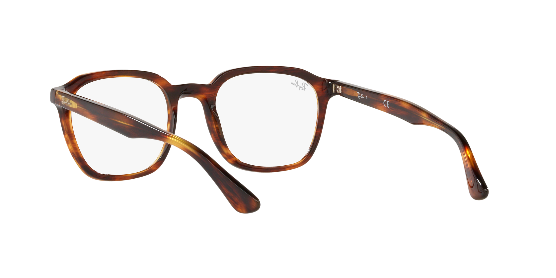 0RX5390_Tortoise-2144_6.png