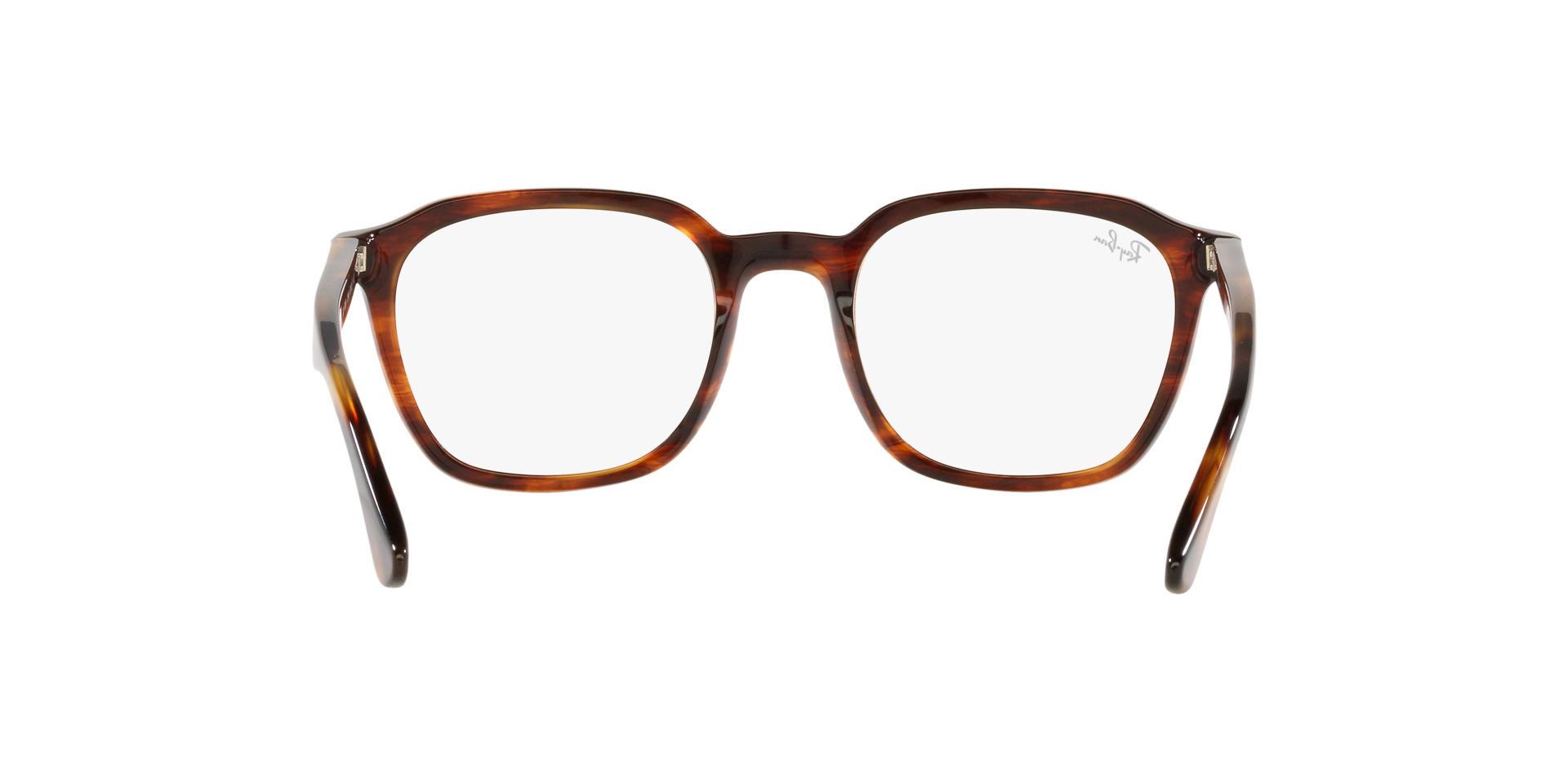 0RX5390_Tortoise-2144_7.png