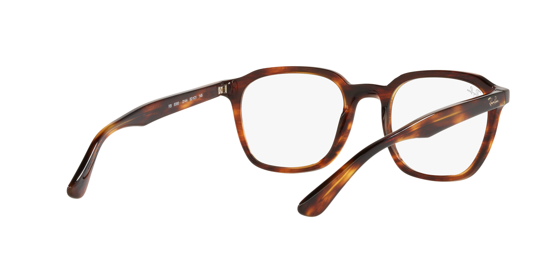 0RX5390_Tortoise-2144_8.png