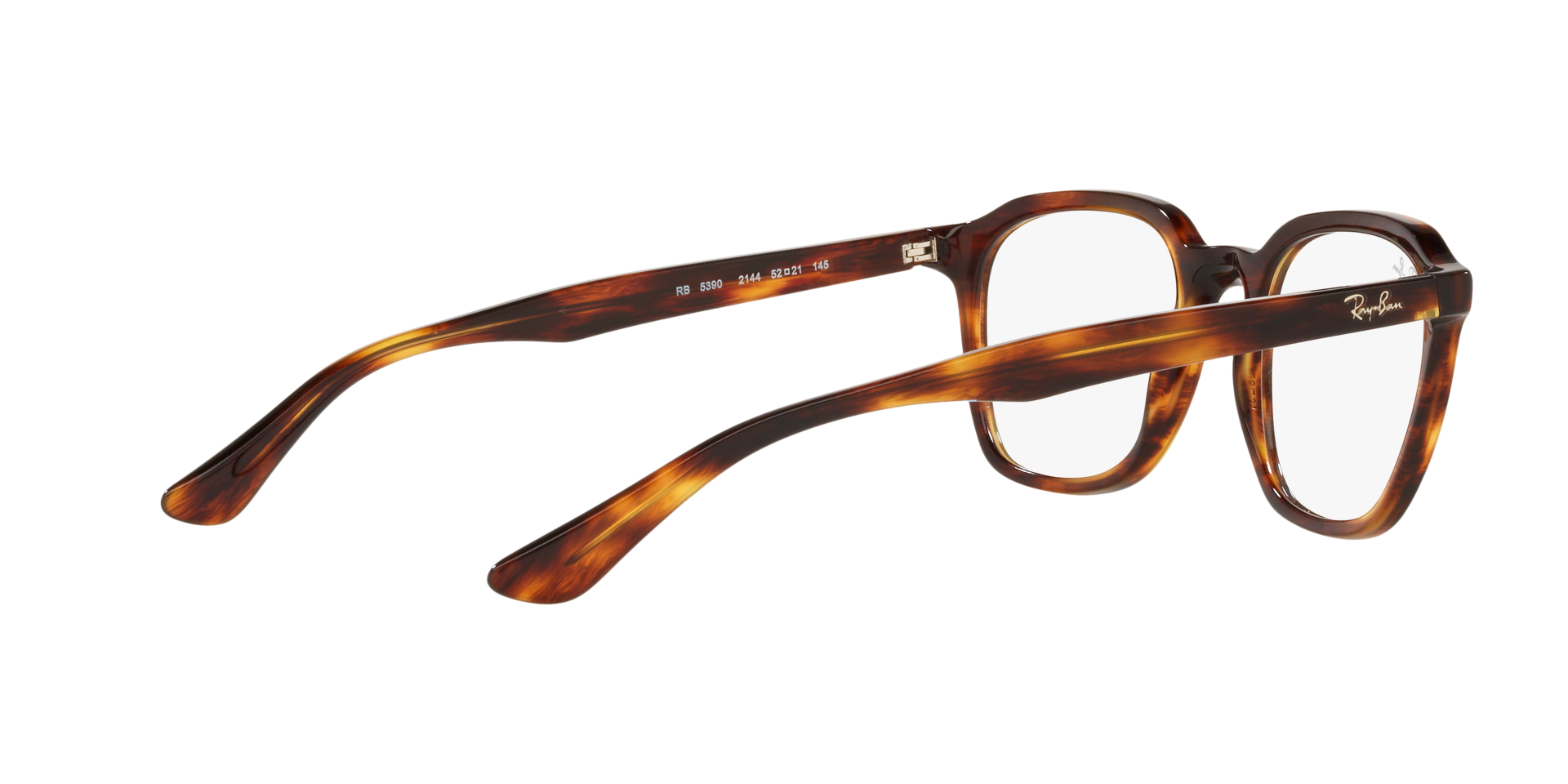 0RX5390_Tortoise-2144_9.png