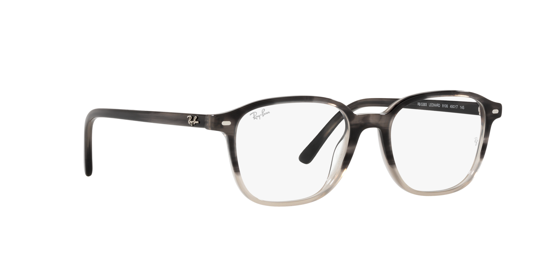 0RX5393_Tortoise-8106_12.png