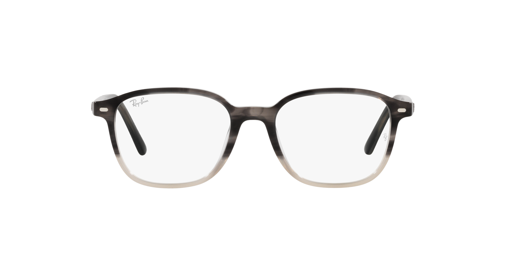 0RX5393_Tortoise-8106_2.png