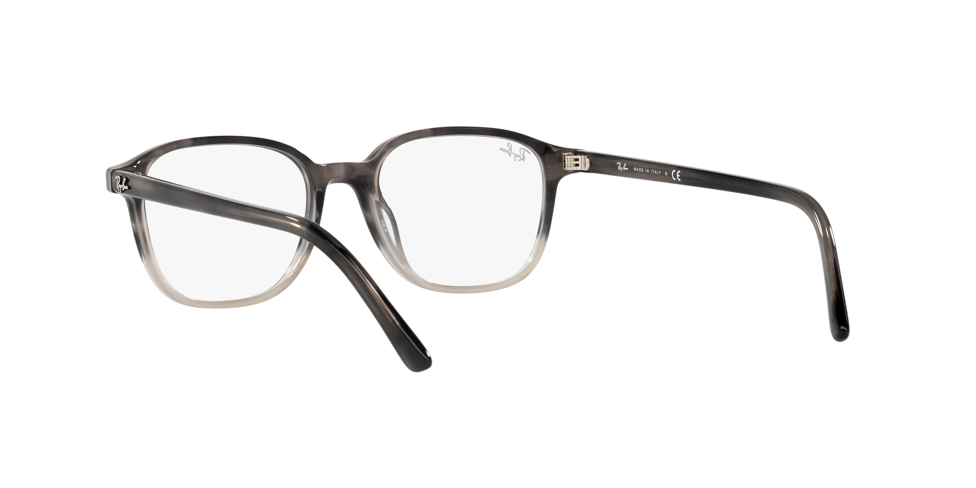 0RX5393_Tortoise-8106_6.png