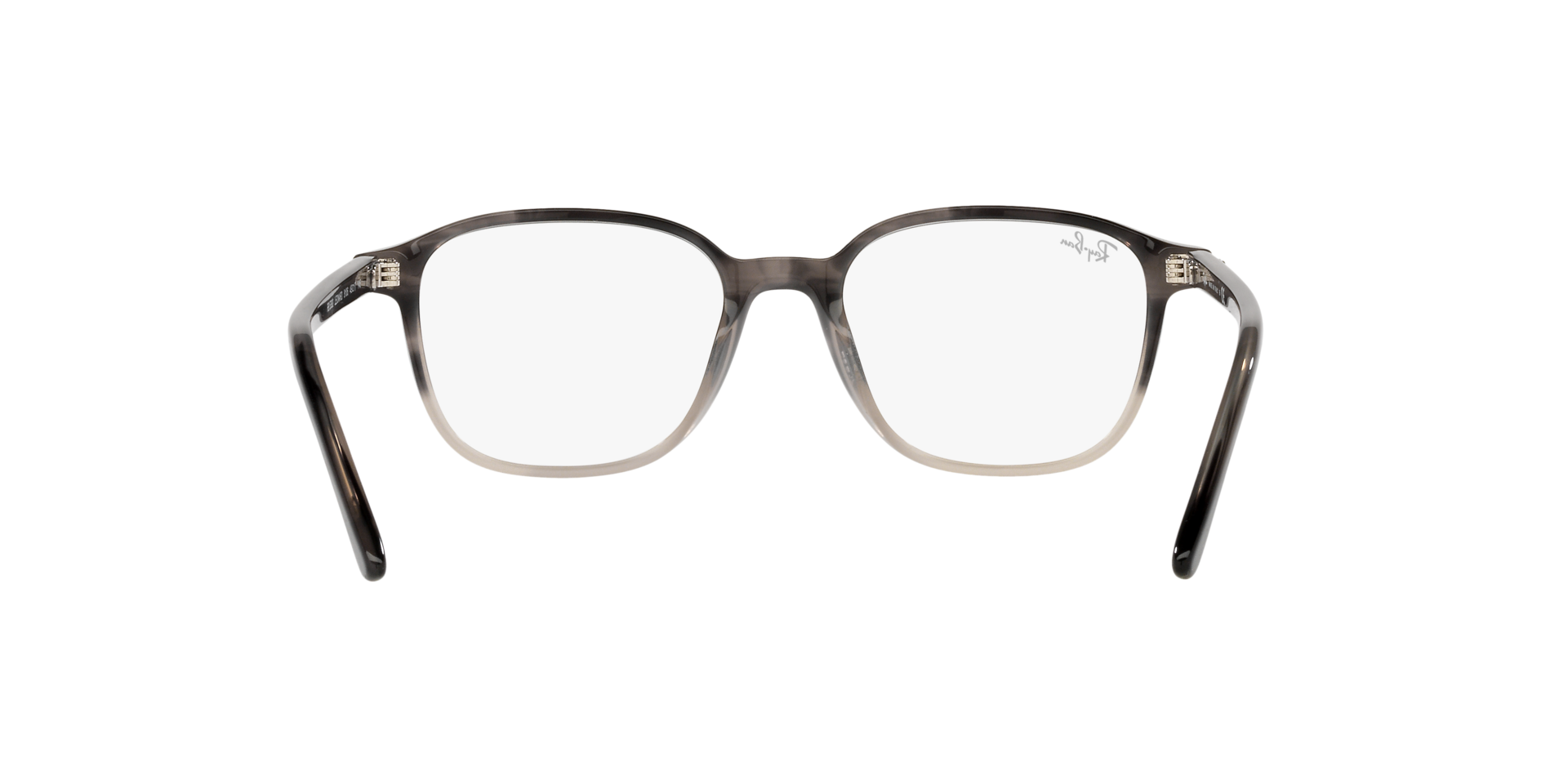 0RX5393_Tortoise-8106_7.png