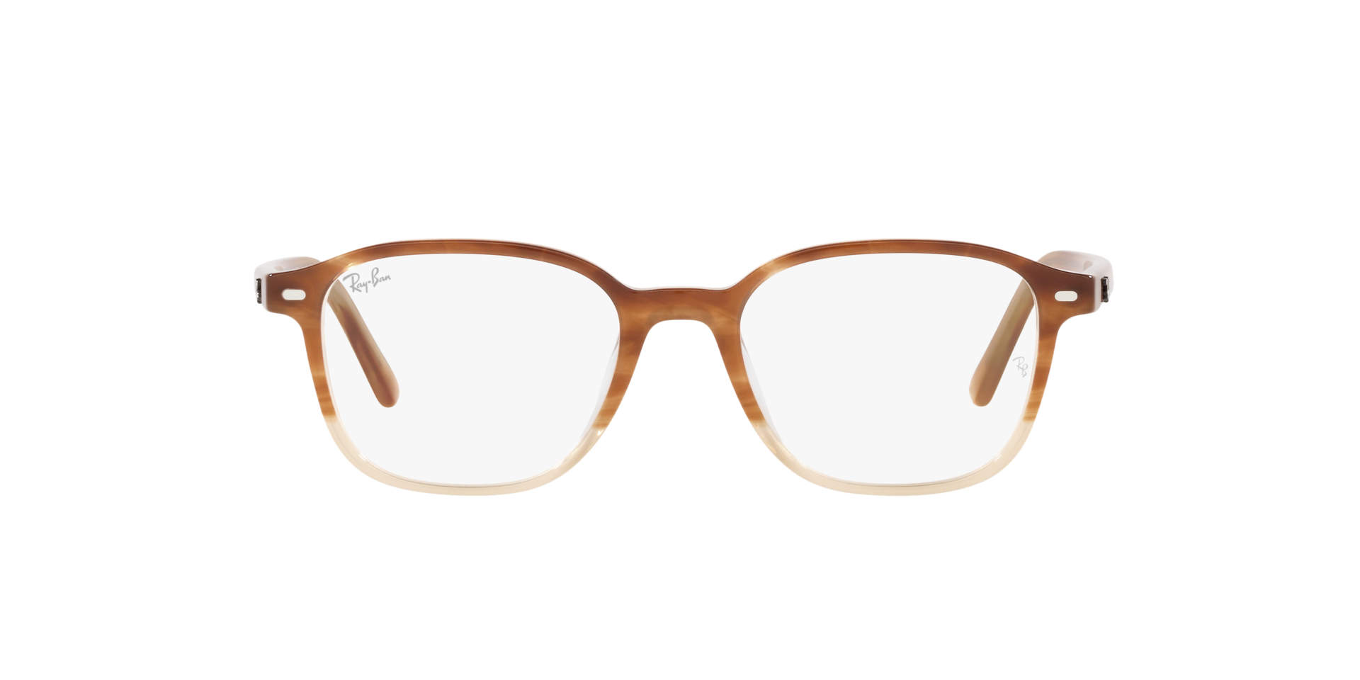 0RX5393_Tortoise-8108_2.png