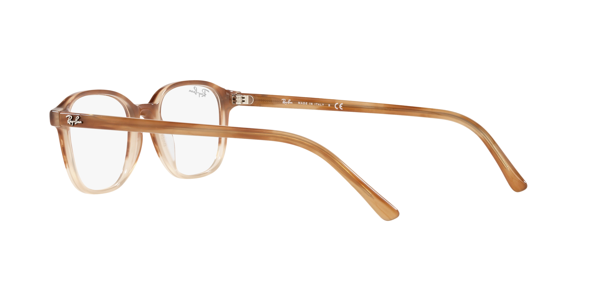 0RX5393_Tortoise-8108_5.png
