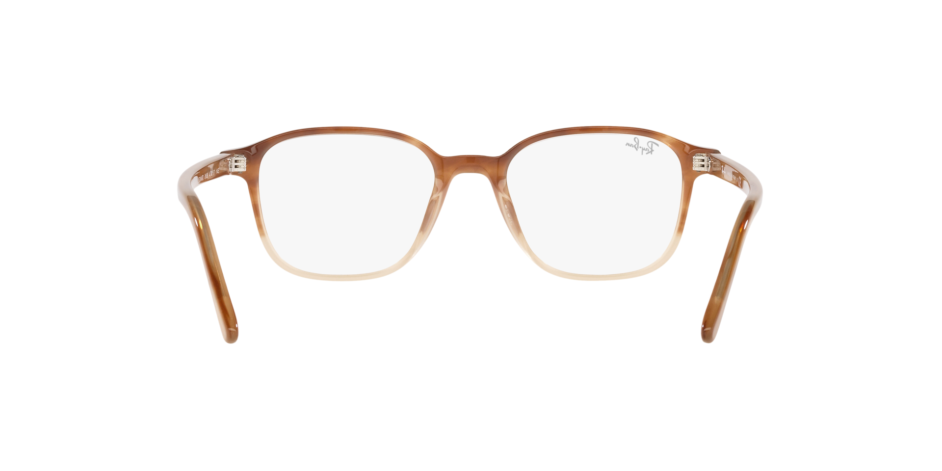 0RX5393_Tortoise-8108_7.png