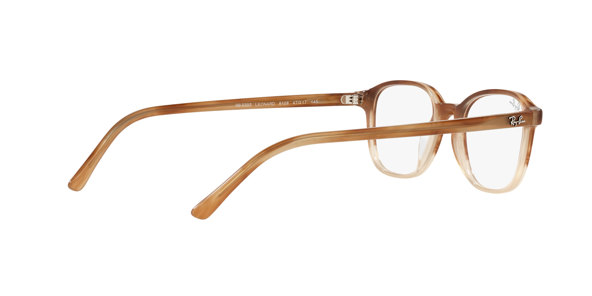 0RX5393_Tortoise-8108_9.png