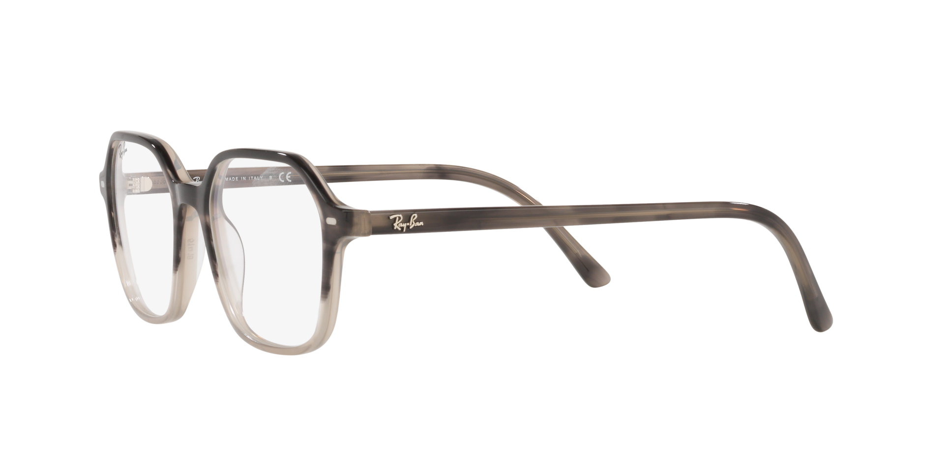 0RX5394_Tortoise-8106_3.png
