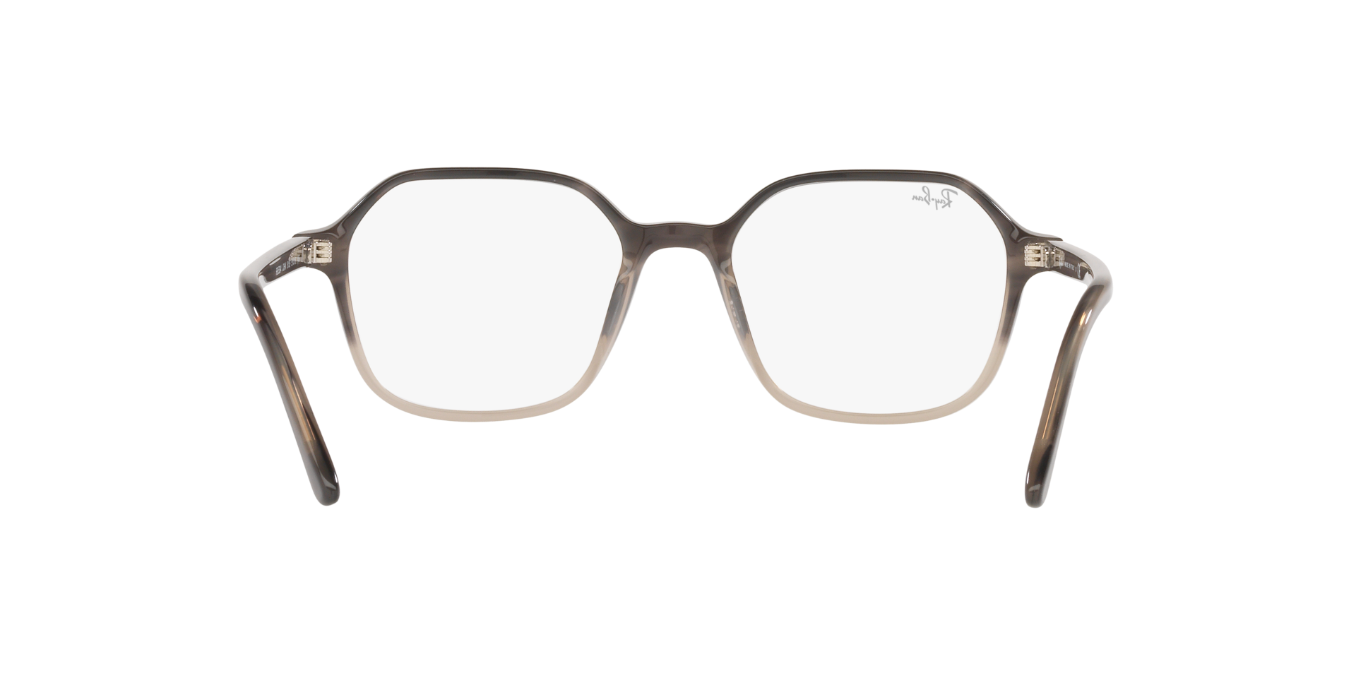 0RX5394_Tortoise-8106_7.png