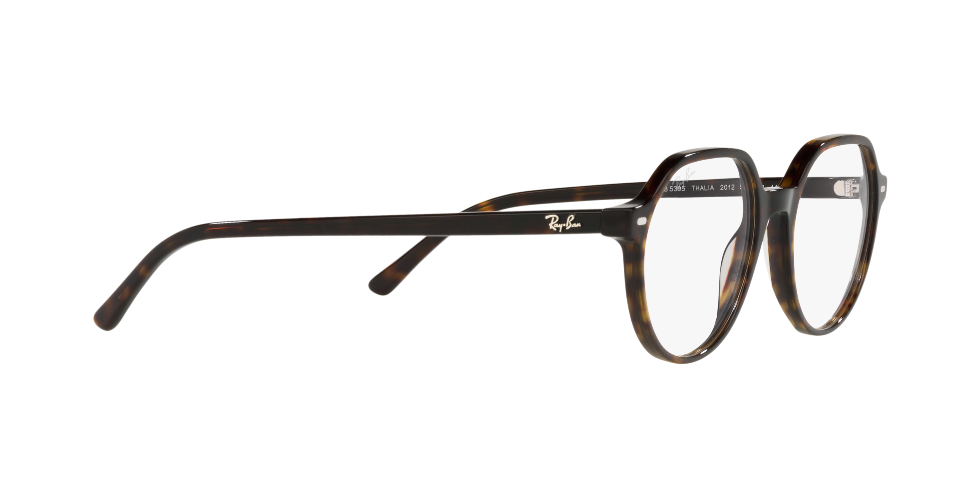 0RX5395_Tortoise-2012_11.png