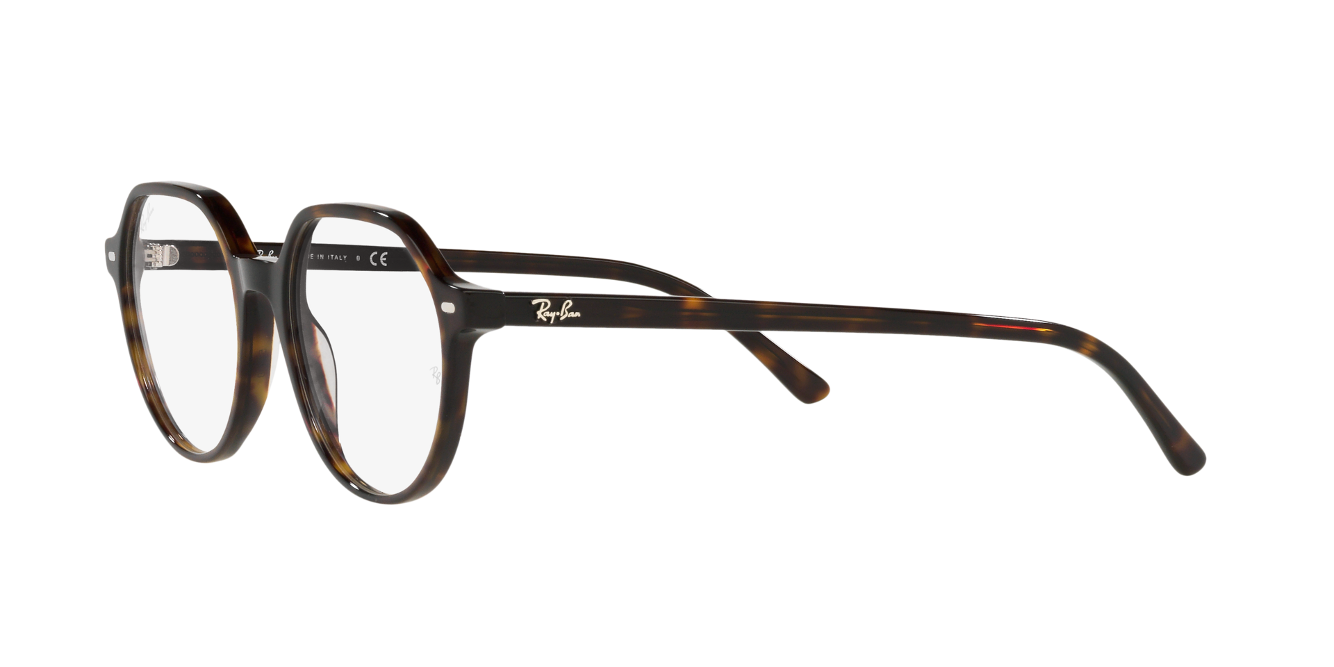 0RX5395_Tortoise-2012_3.png