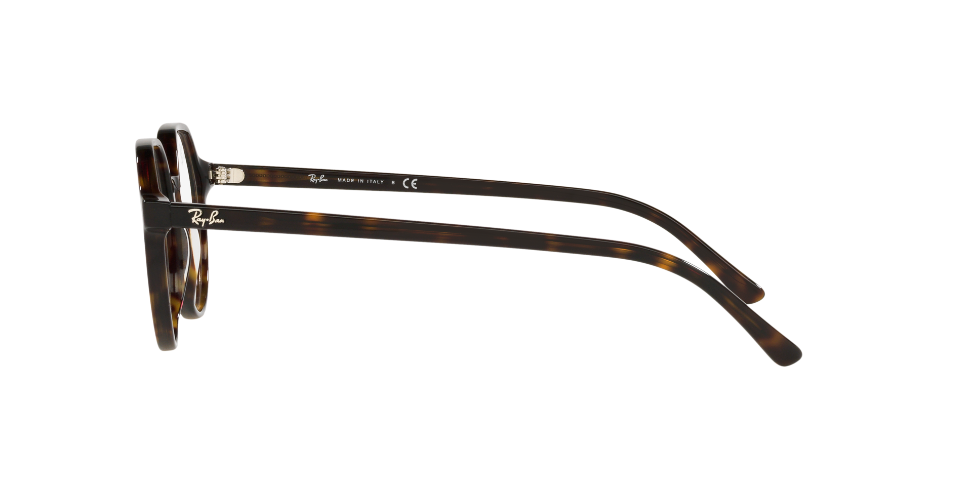 0RX5395_Tortoise-2012_4.png