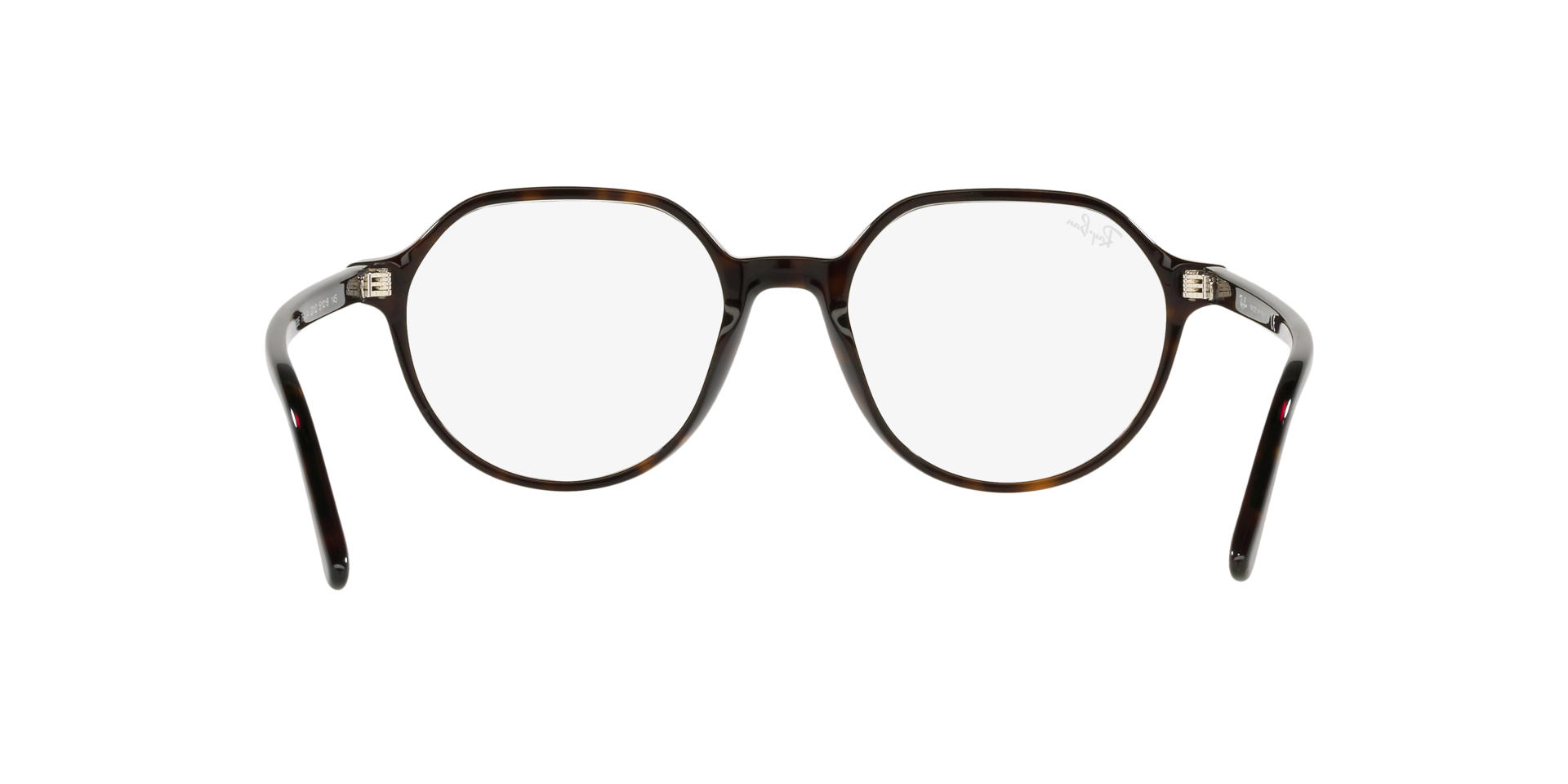 0RX5395_Tortoise-2012_7.png